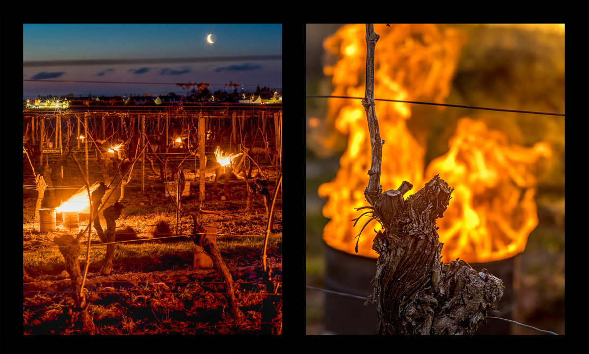 montage dyptique_75_14_web.jpg