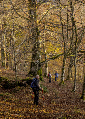 Les Pyrénées en automne