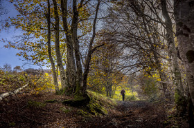 Les Pyrénées en automne