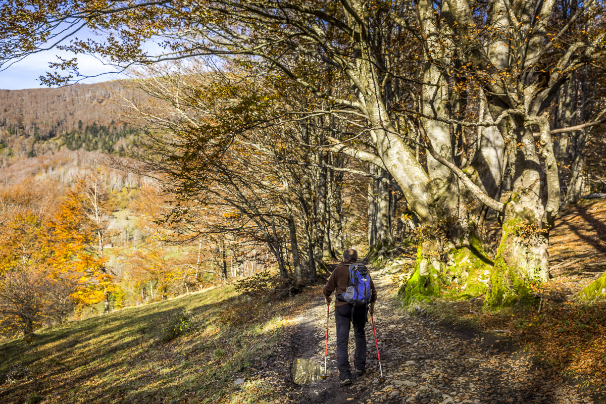 Les Pyrénées en automne
