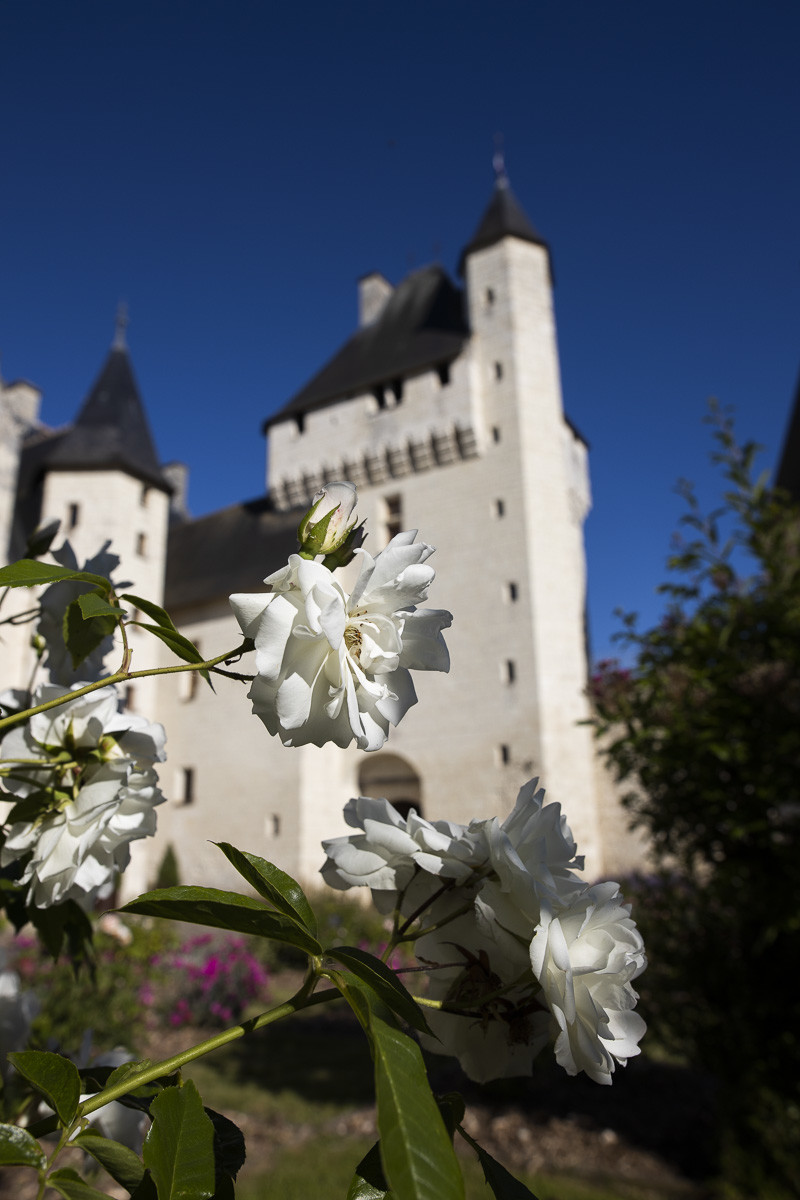 Fête des roses château du Rivau