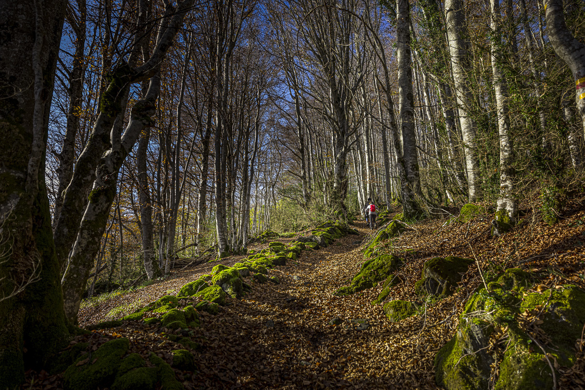 Les Pyrénées en automne