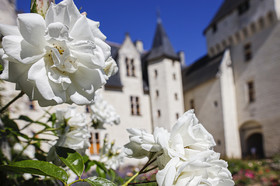 Fête des roses château du Rivau