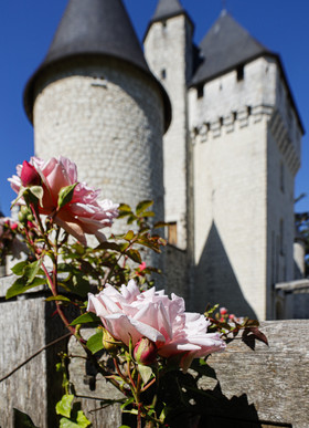 Fête des roses château du Rivau