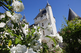 Fête des roses château du Rivau