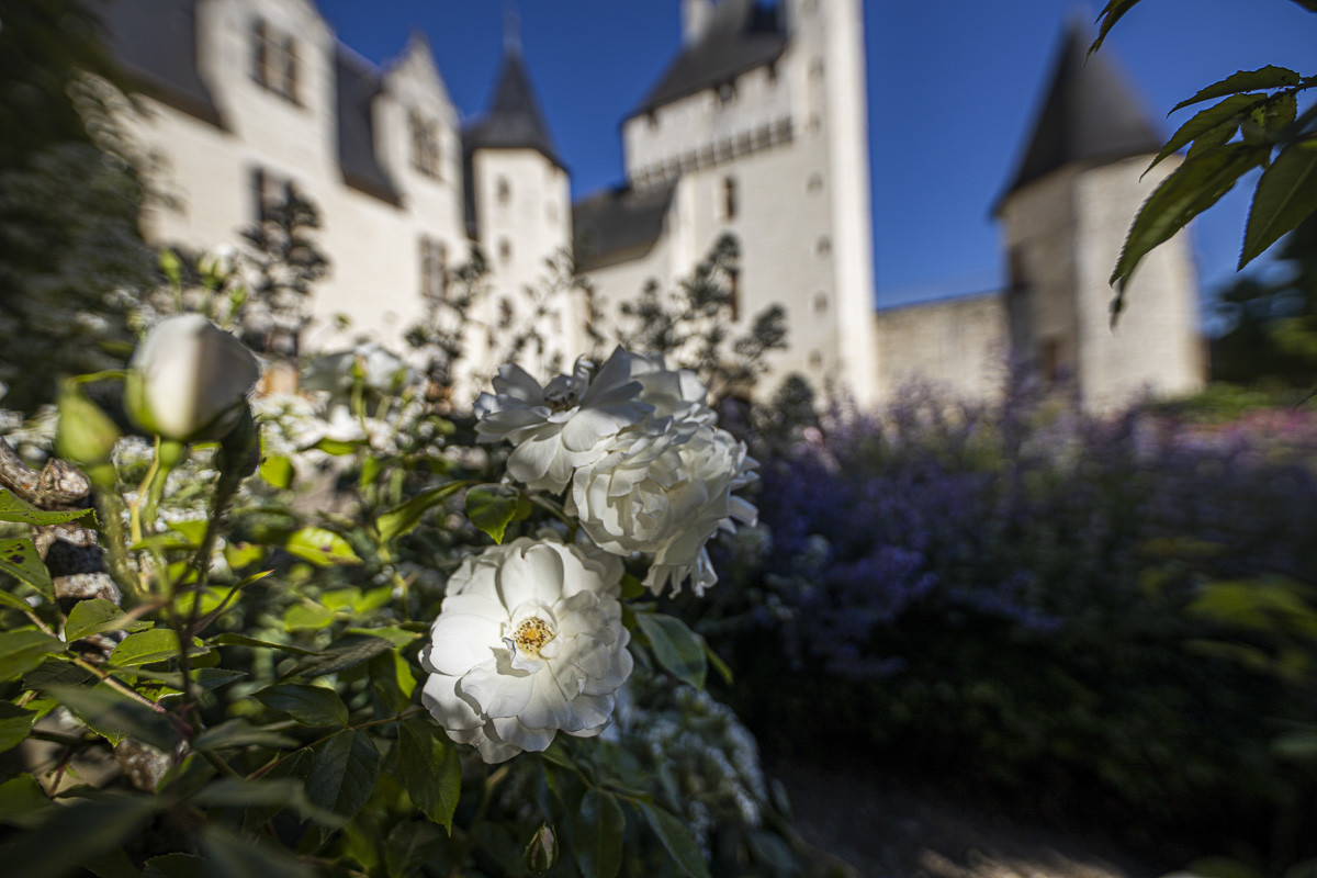 Fête des roses château du Rivau
