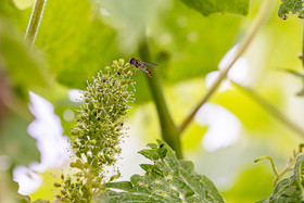 _AR_1649-Avec accentuation-Bruit_web.jpg