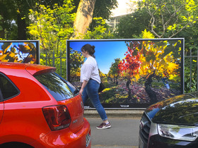 exposition,lumière,couleur,Tours,vigne