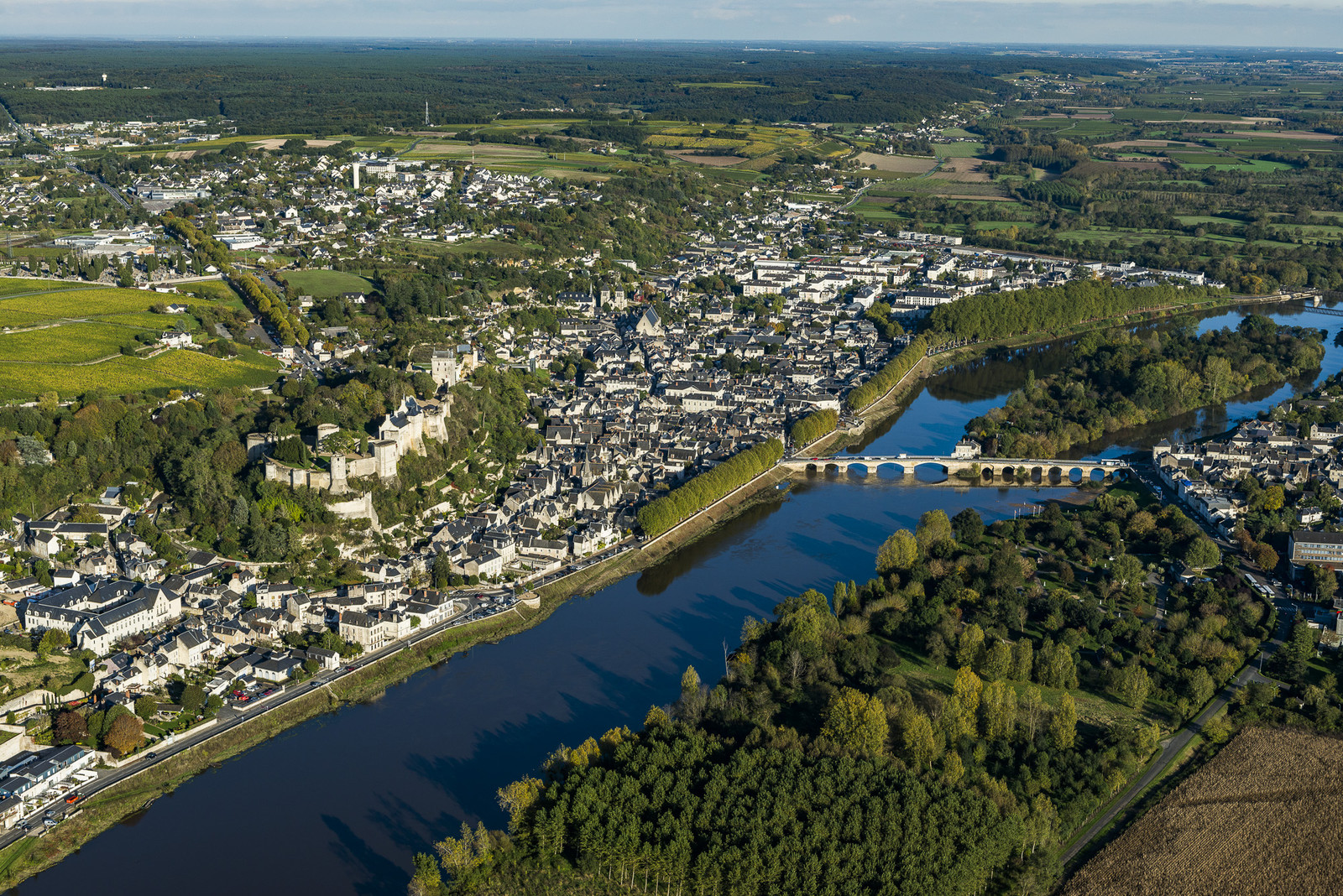 Chinon