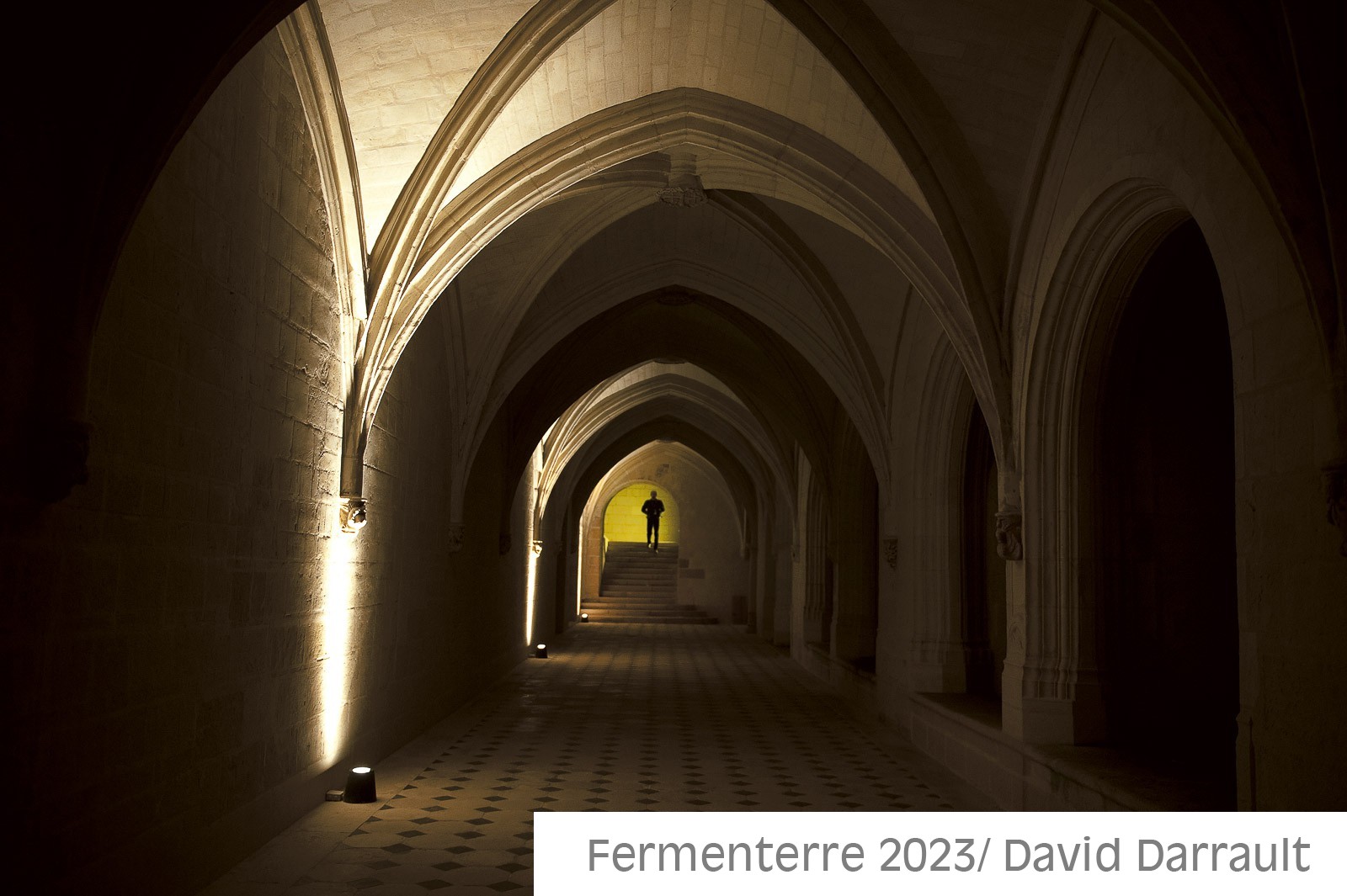 Abbaye de Fontevraud-2.jpg