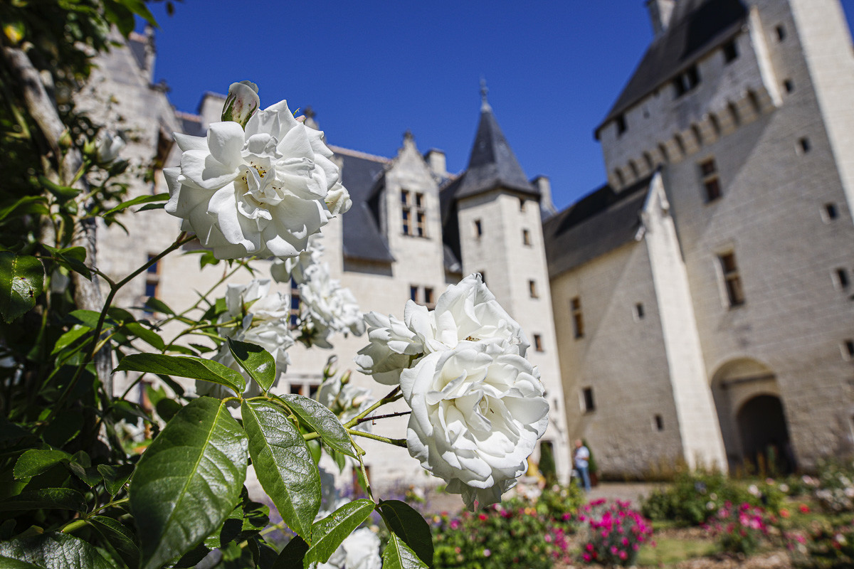 Fête des roses château du Rivau