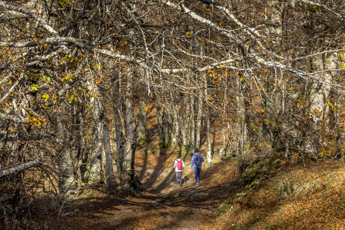 Les Pyrénées en automne