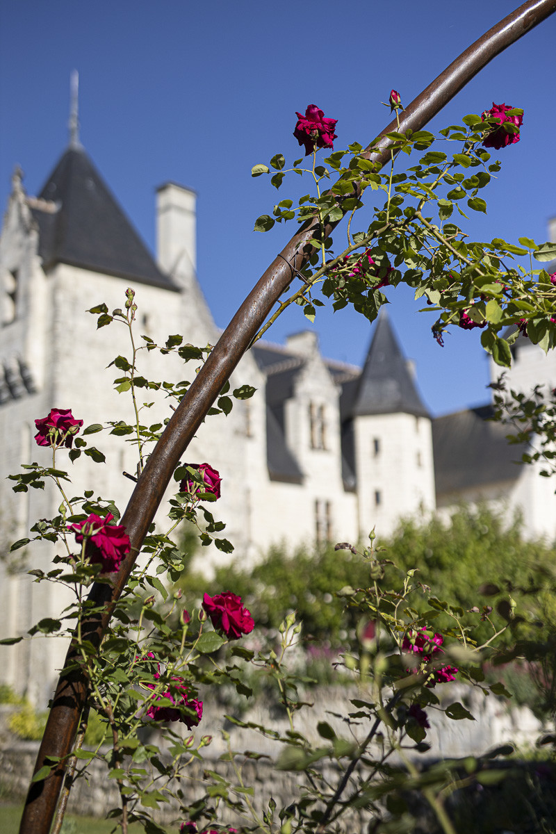 Fête des roses château du Rivau