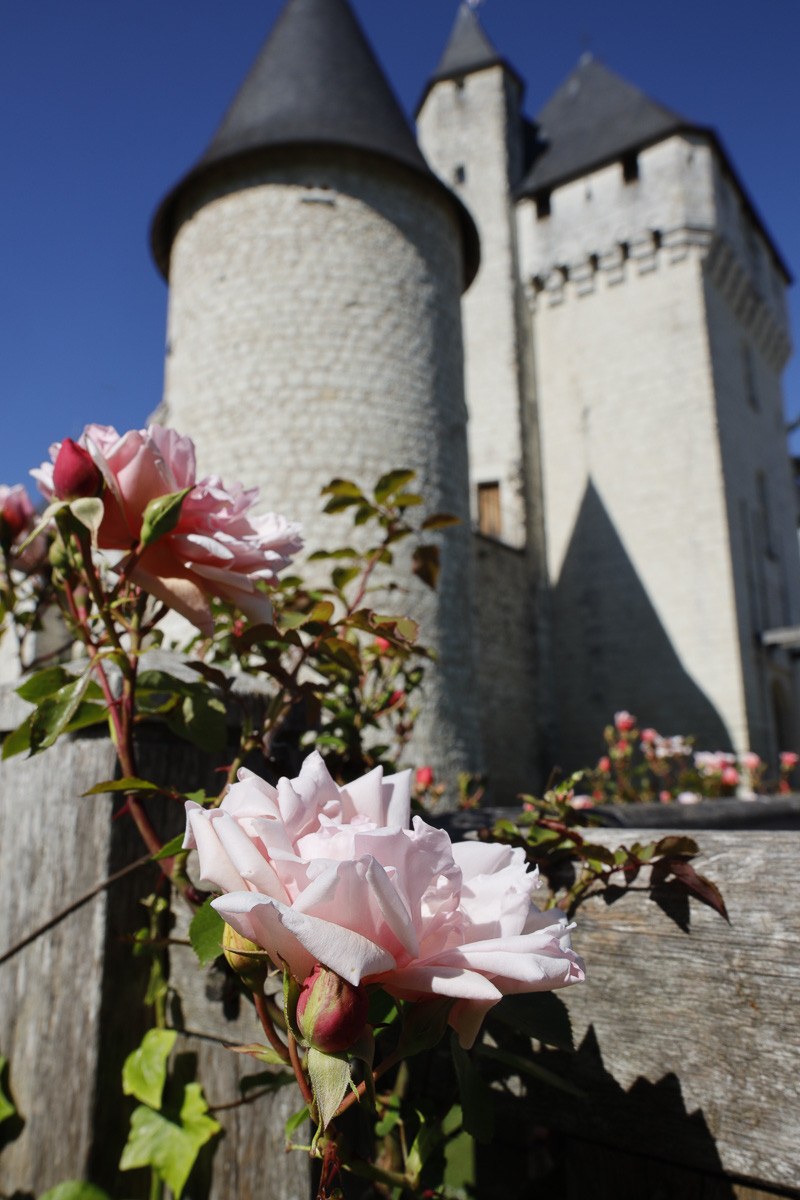 Fête des roses château du Rivau