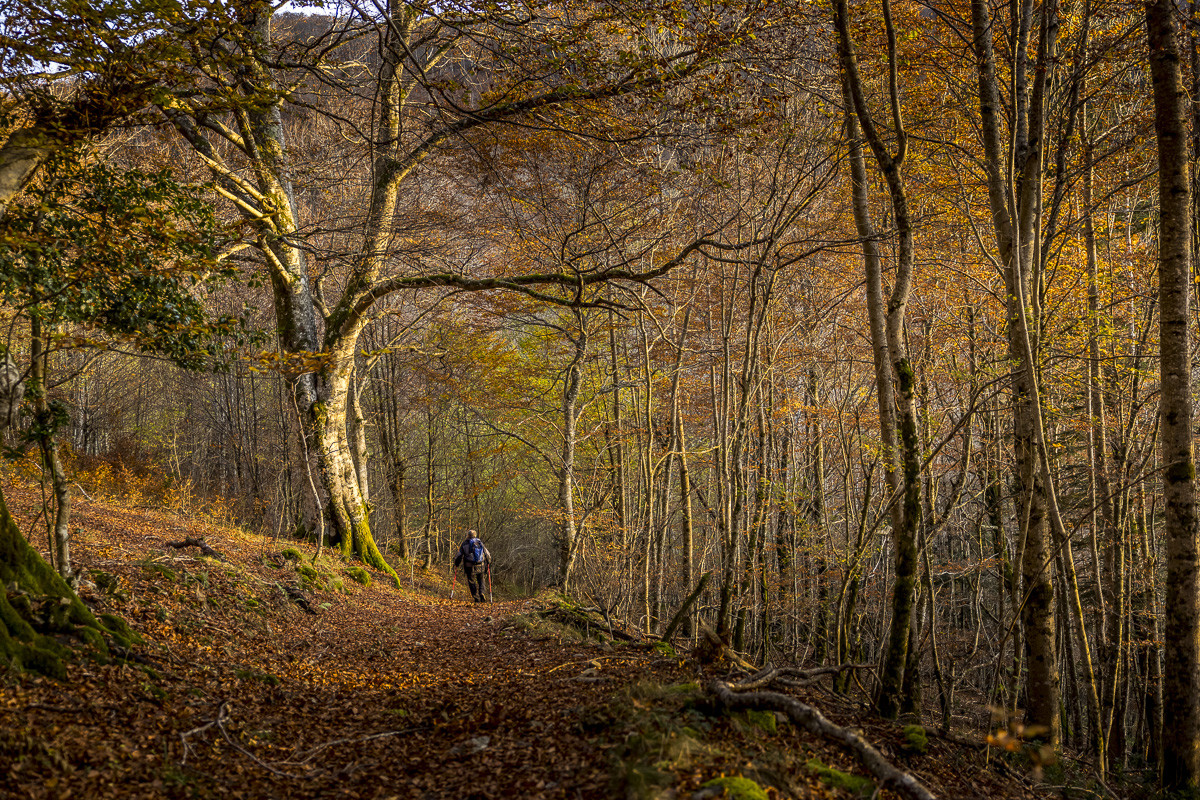 Les Pyrénées en automne