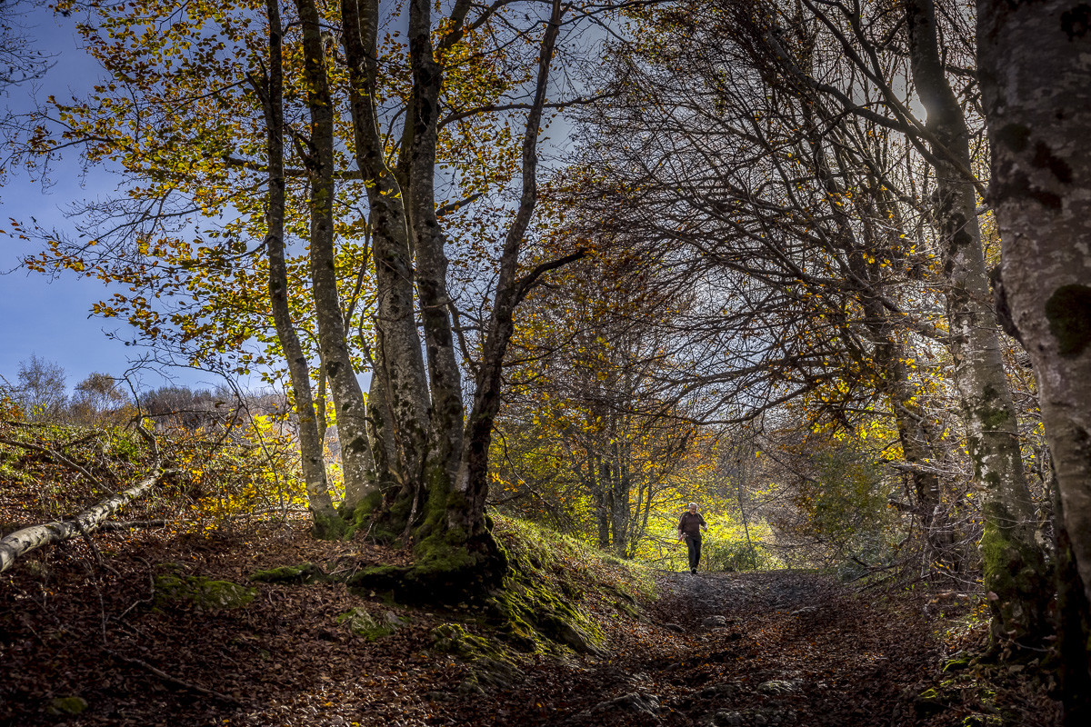 Les Pyrénées en automne