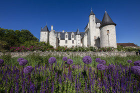 Fête des roses château du Rivau