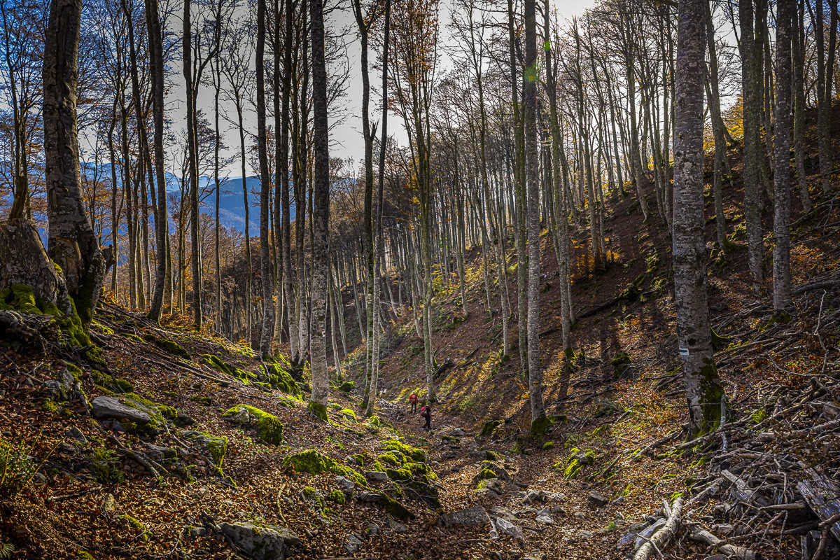 Les Pyrénées en automne