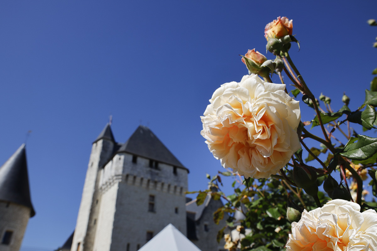 Fête des roses château du Rivau