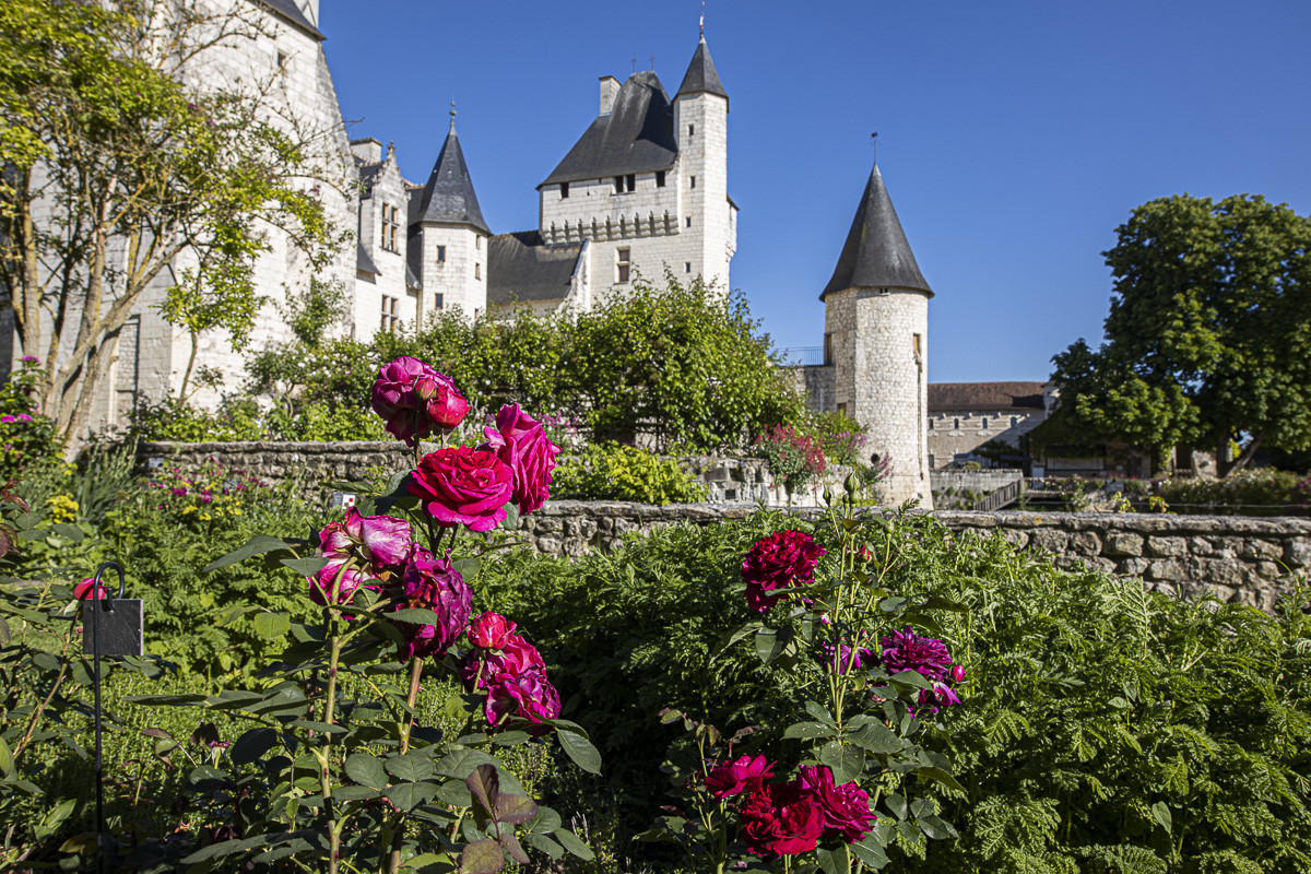 Fête des roses château du Rivau
