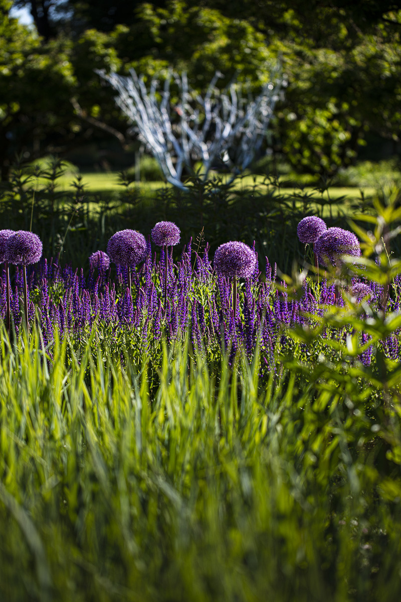 Fête des roses château du Rivau