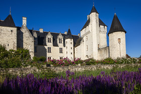 Fête des roses château du Rivau