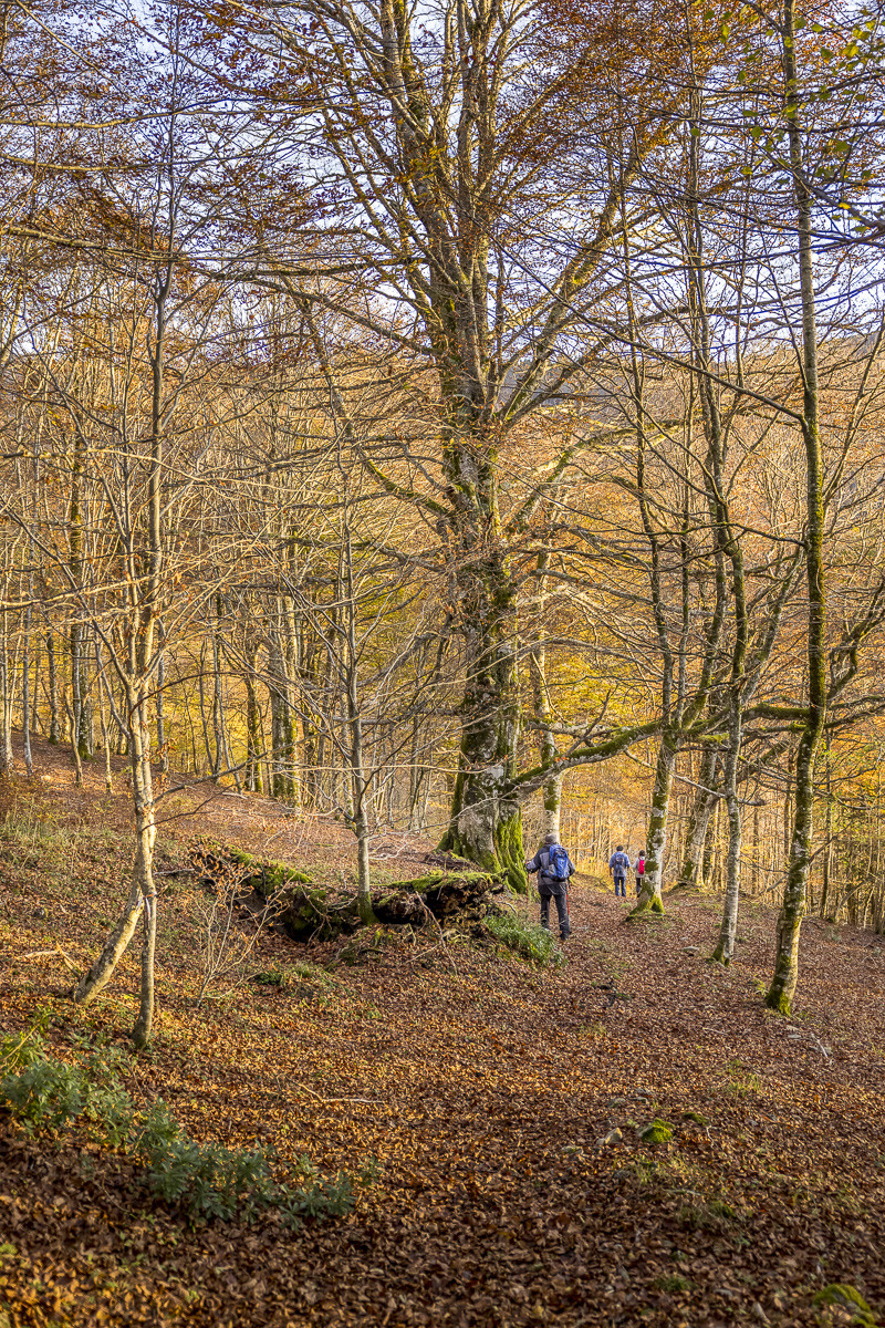 Les Pyrénées en automne