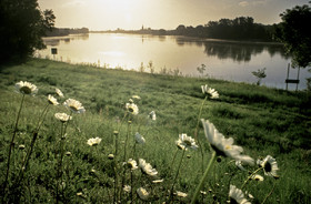 Loire en face de Bréhémont