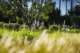 Fête des roses château du Rivau