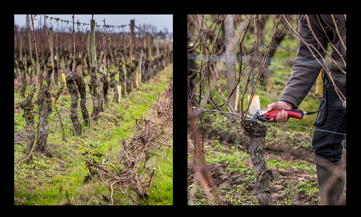 montage dyptique_75_03_web.jpg