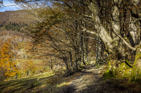 Les Pyrénées en automne