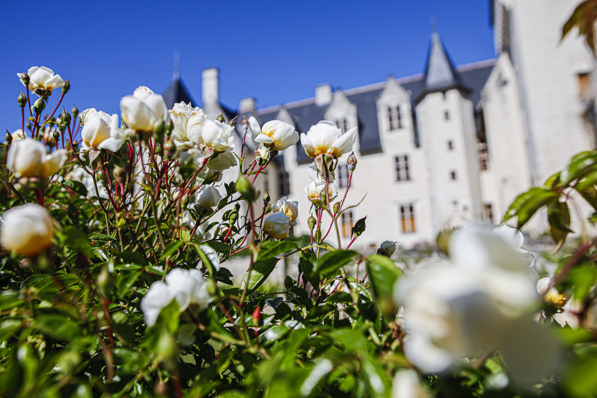 Fête des roses château du Rivau