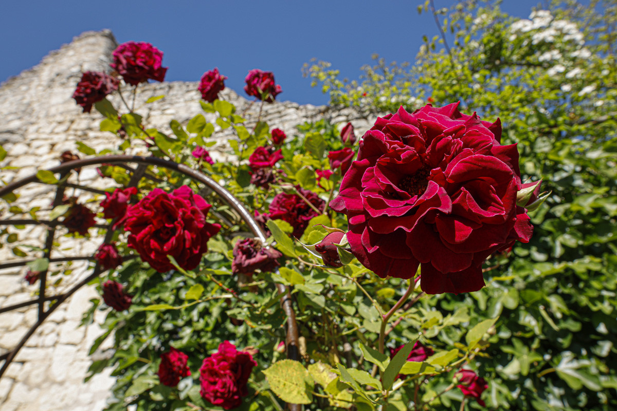 Fête des roses château du Rivau