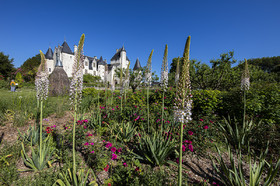 Fête des roses château du Rivau