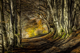 Les Pyrénées en automne